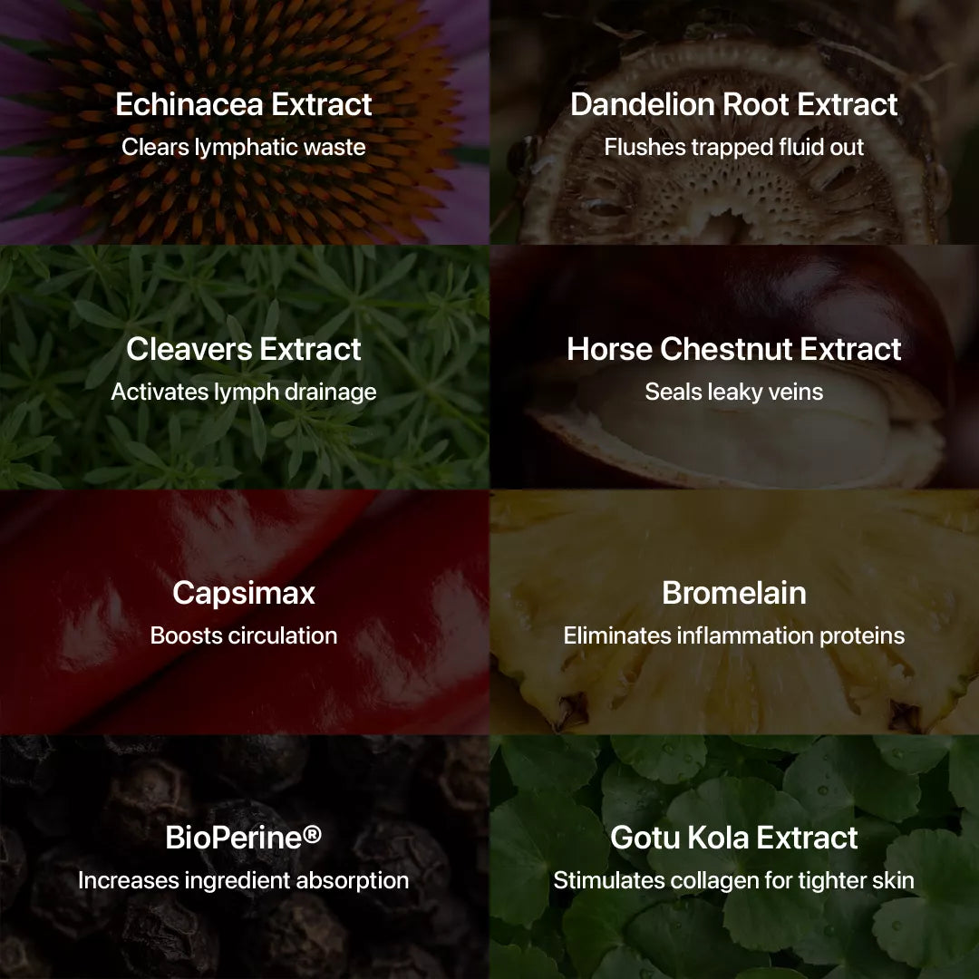 Lymphatic Drainage Complex