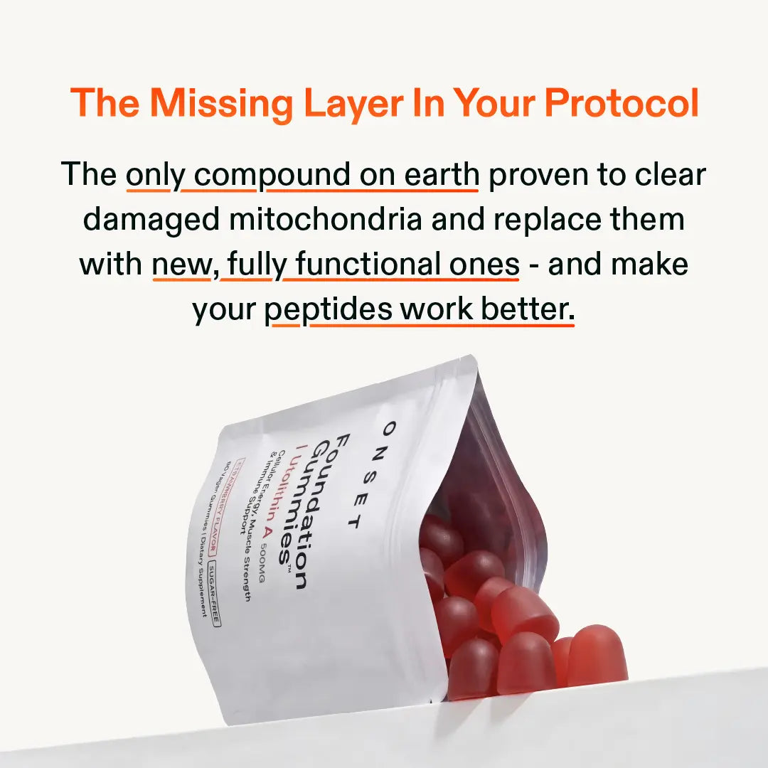 Foundation Gummies